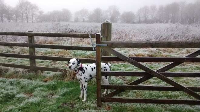 IMG_20150104_131758045