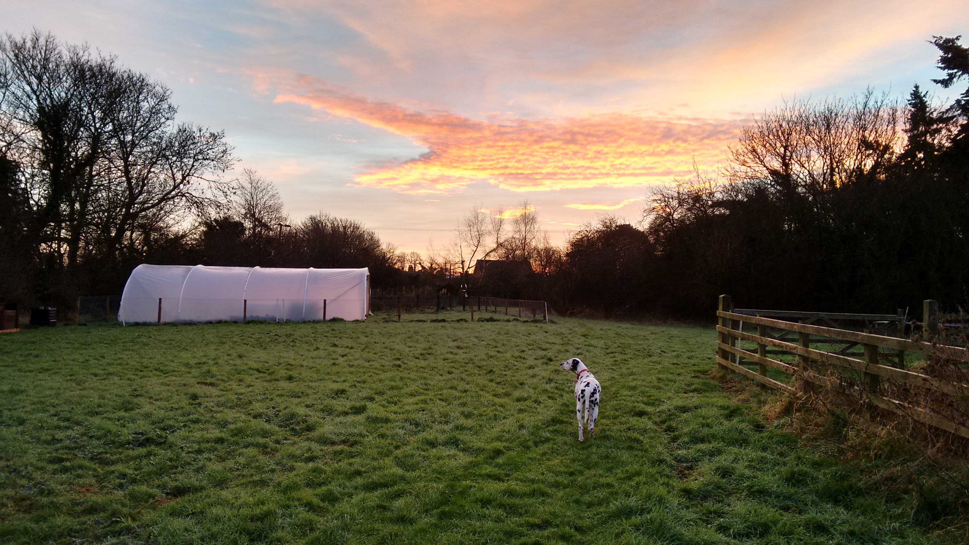 IMG_20160109_080208489_HDR