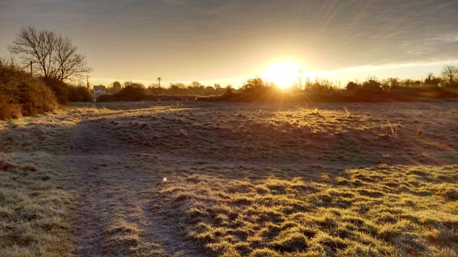 IMG_20160119_082257790_HDR