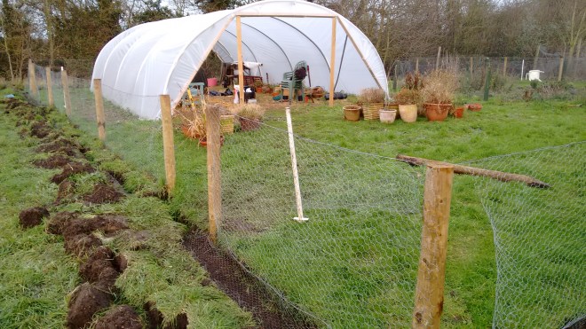 IMG_20160124_154842945