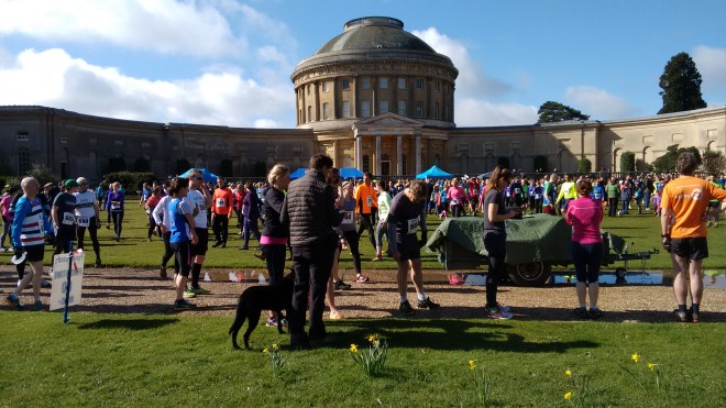 IMG_20160417_100353374