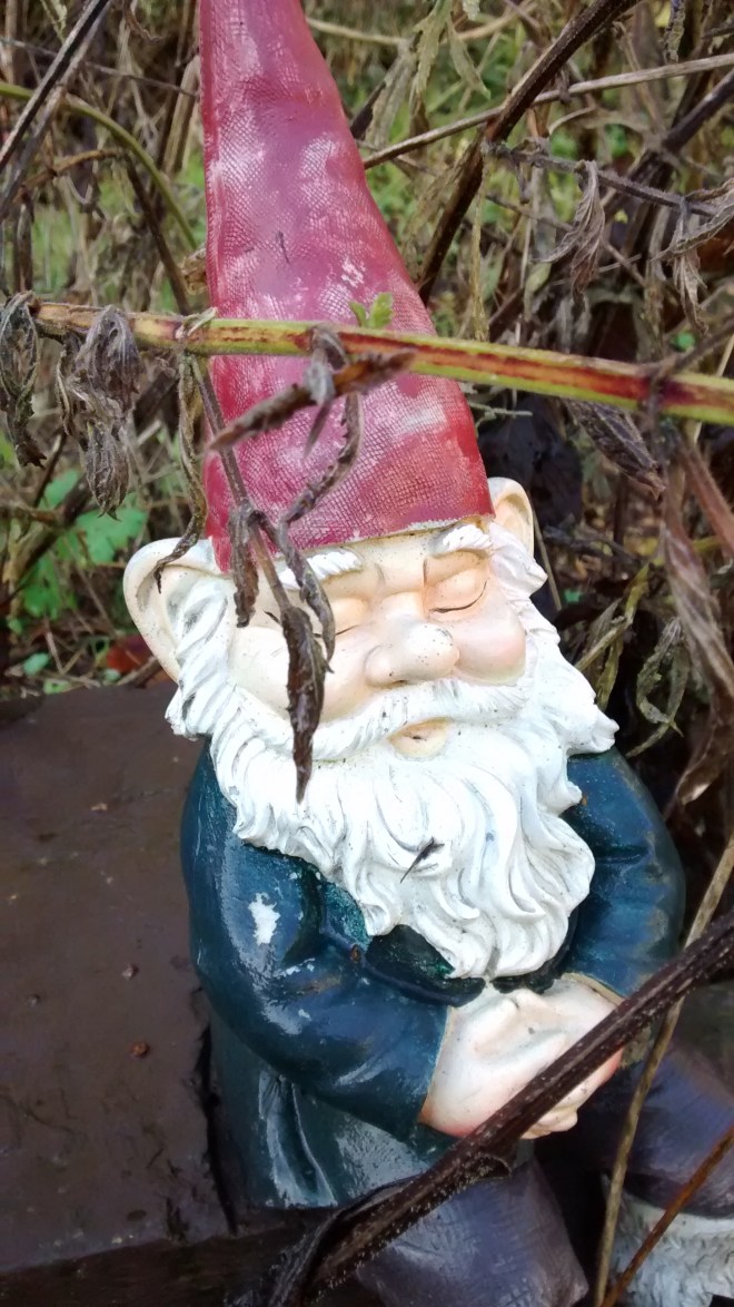 img_20170102_111700290