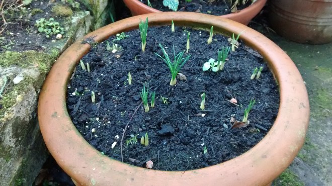 img_20170102_111829571