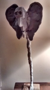 img_20170226_214145679_hdr