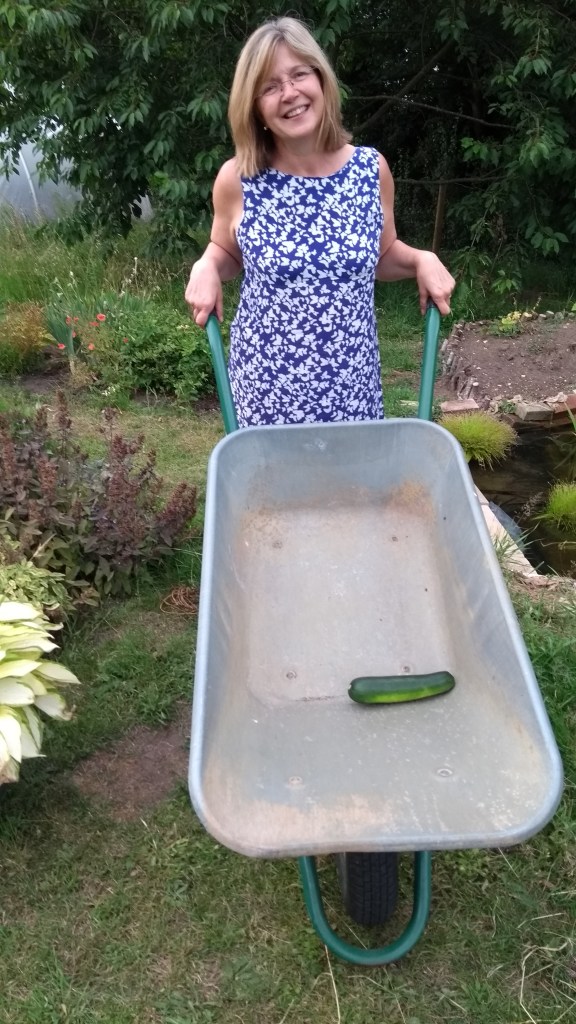 IMG_20170710_193500105