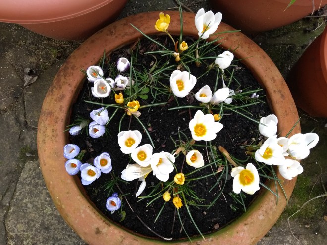 IMG_20180218_124620093